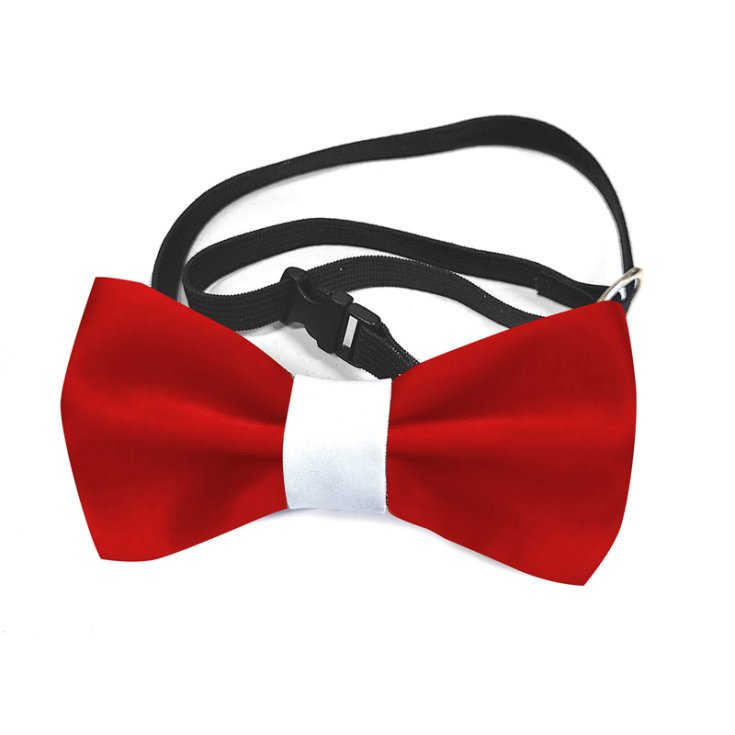 RECORD RECORD - NOEUD PAPILLON ROUGE, M/L, 10