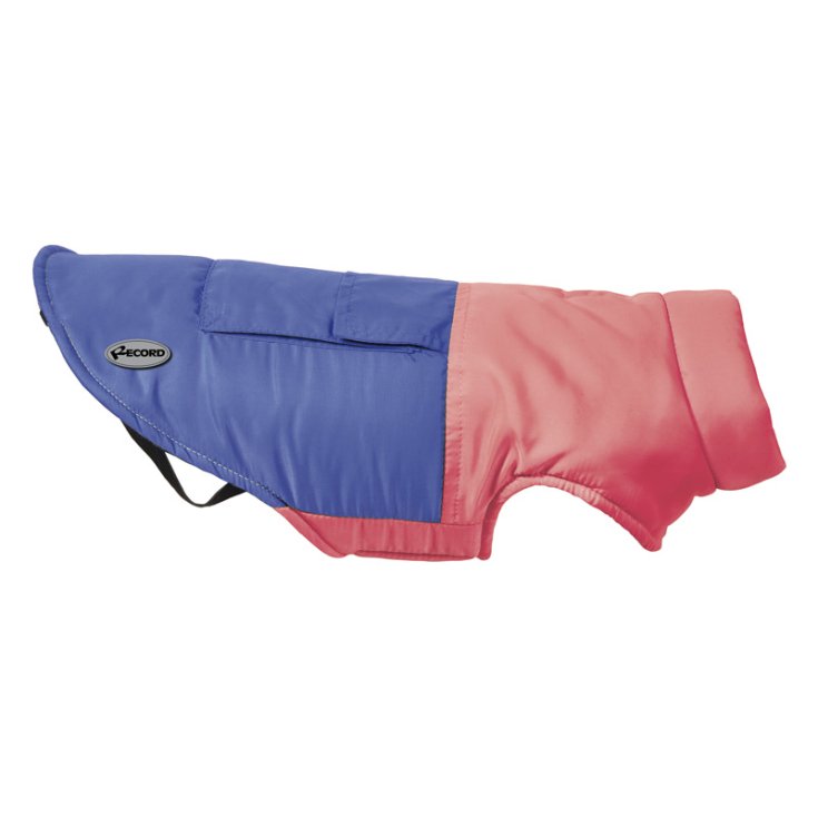 RECORD EMBRAYAGE BLEU ROUGE XXXXXXL COFFRE :