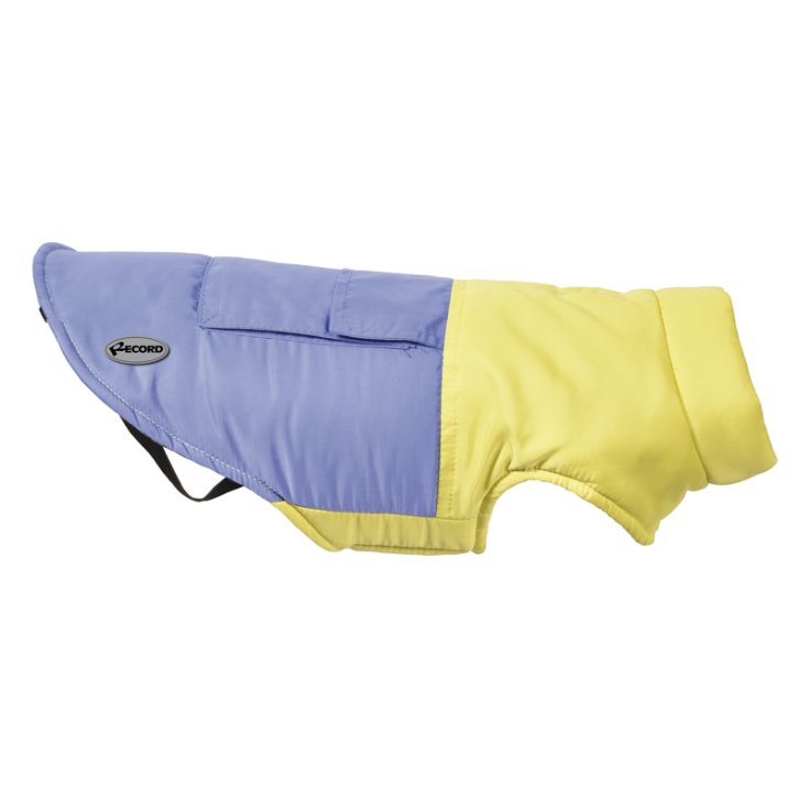 POCHETTE RECORD JAUNE LILAS XXXXXXL PET