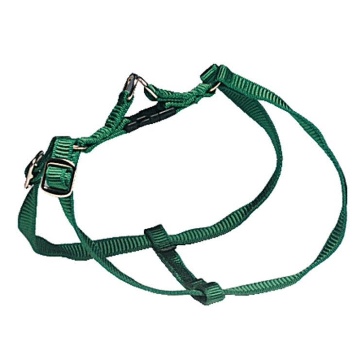 DOSSIER RAPIDE EN NYLON M 75 G