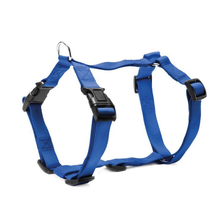 HARNAIS NYLON BLEU RÉGLABLE RECORD 1