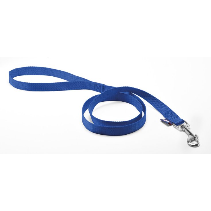 LAISSE RECORD NYLON BLEU 1X100 CM