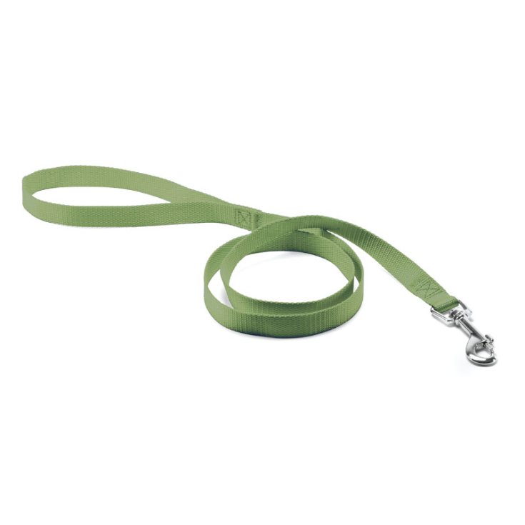 LAISSE RECORD BASIC VERTE 1,6X100
