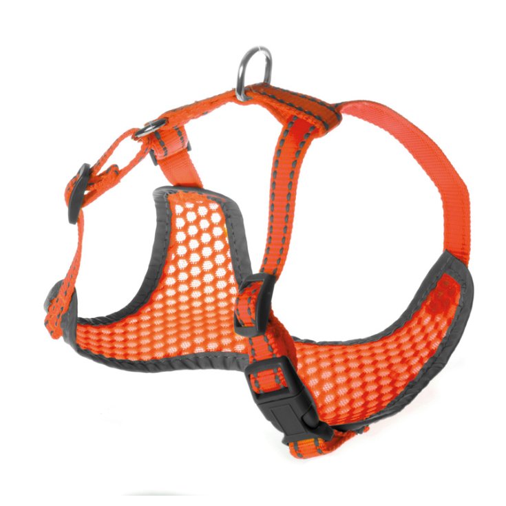 ENREGISTREMENT FLUO PET. NYLON FLUO AVEC BANDES CHAT