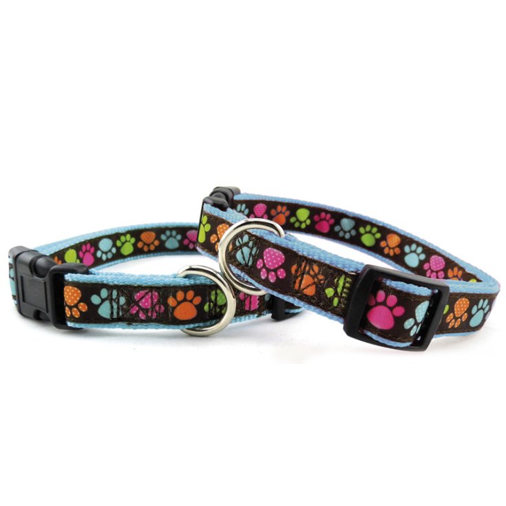 COLLIER EN NYLON BLEU RECORD PAWS 1,9