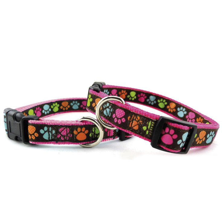 RECORD PAWS PAWS - COLLIER EN NYLON