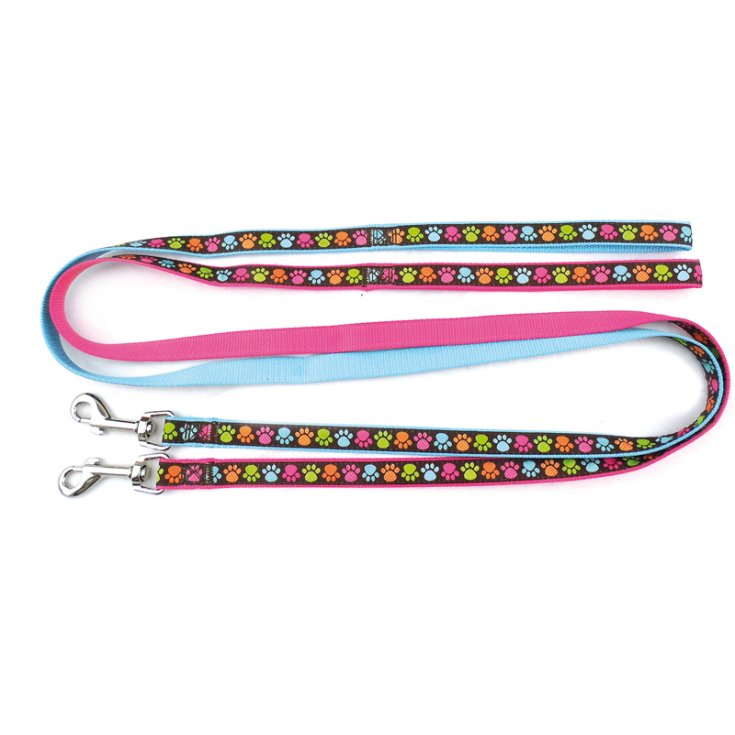 LAISSE EN NYLON BLEU CLAIR RECORD PAWS