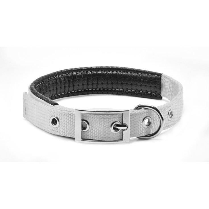 COLLIER RECORD GRIG SOUPLE REMBOURRÉ EN NYLON