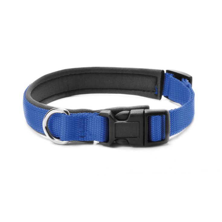 COLLIER RECORD NYLON AVEC NÉOPRÈNE BLEU 2,