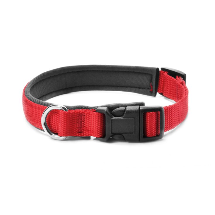 COLLIER EN NYLON RECORD AVEC NÉOPRÈNE ROUGE