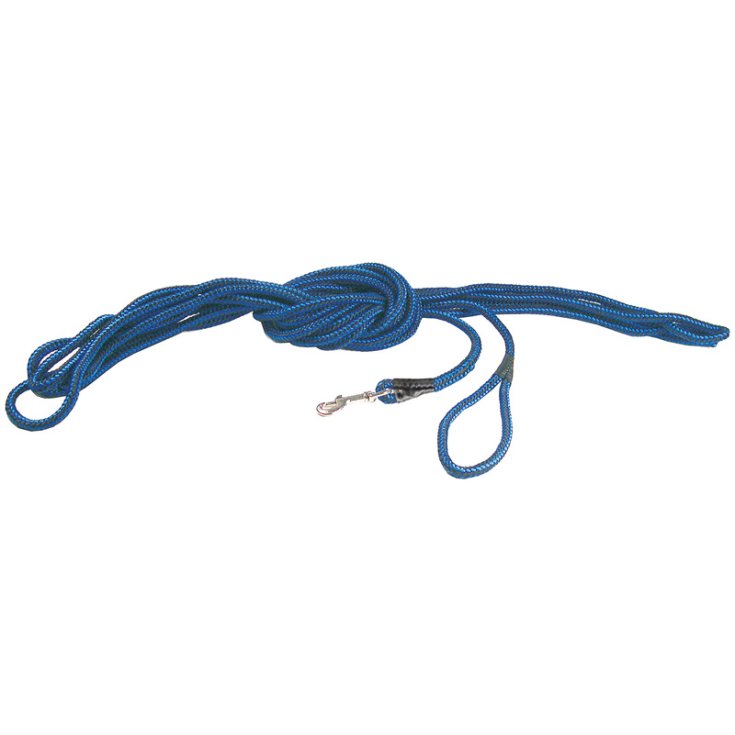 LAISSE RECORD BICOLORE TUBULAIRE 1X100