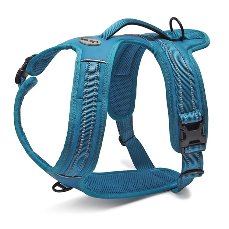 HARNAIS RECORD ACTION BLEU M 60 72 CM A