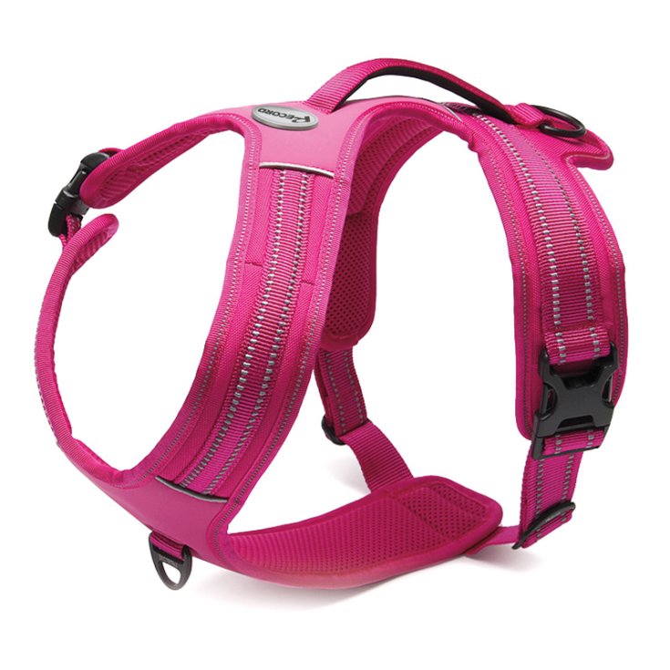RECORD ACTION ALPI FUCHSIA BAVOIR M 60