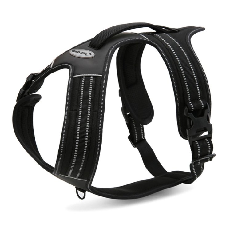 RECORD ACTION ALPI BIB NOIR XL 90
