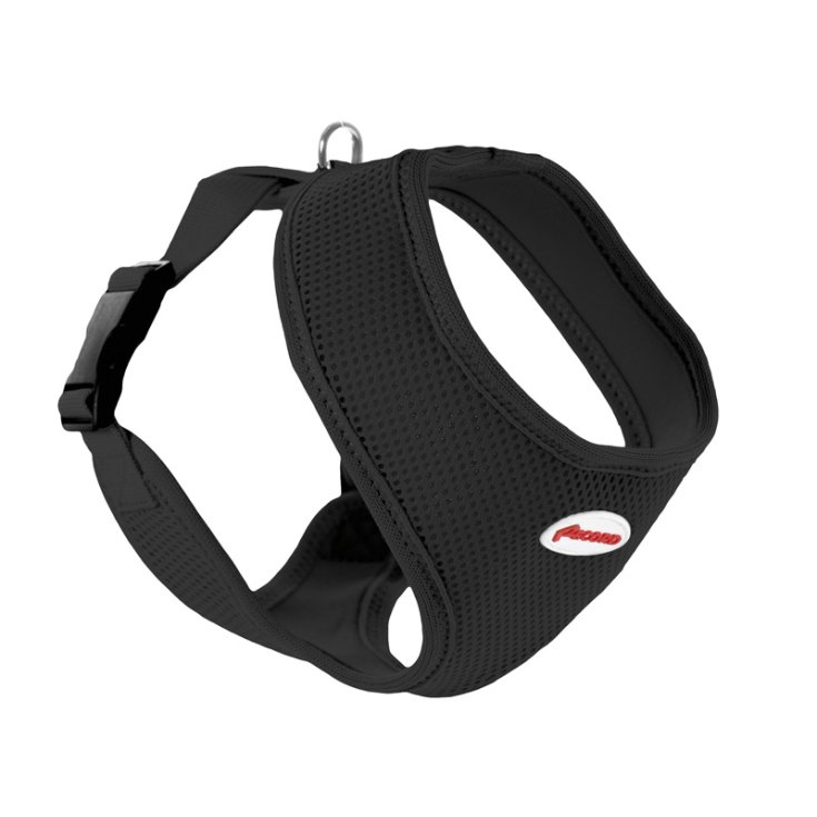 HARNAIS RECORD FAST DOG NOIR XS 18-23/