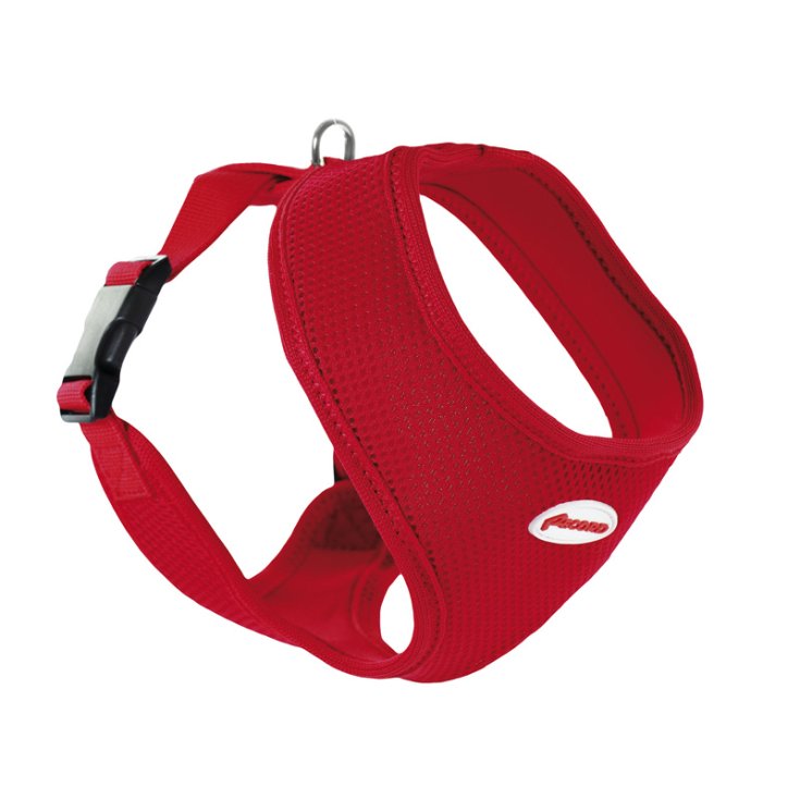 HARNAIS RECORD FAST DOG ROUGE S 23-28/