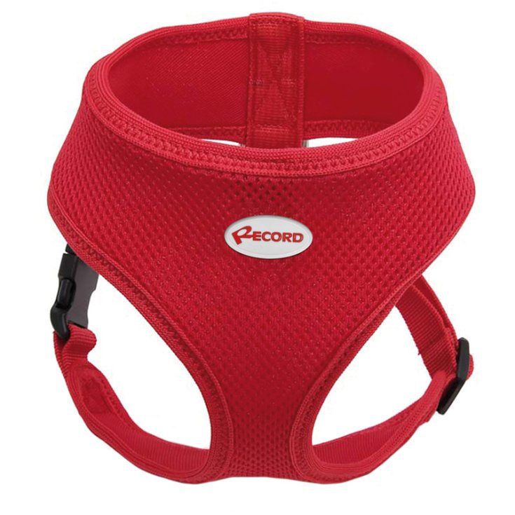 HARNAIS RECORD FAST DOG ROUGE M 28-33/
