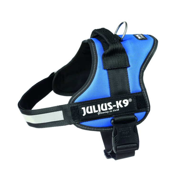 JULIUSK9 PETT 0/ML 5876/40 BLEU