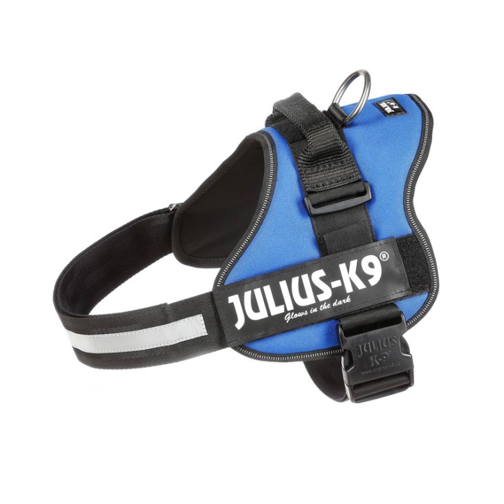 JULIUSK9 PETT LXL 7196 BLEU