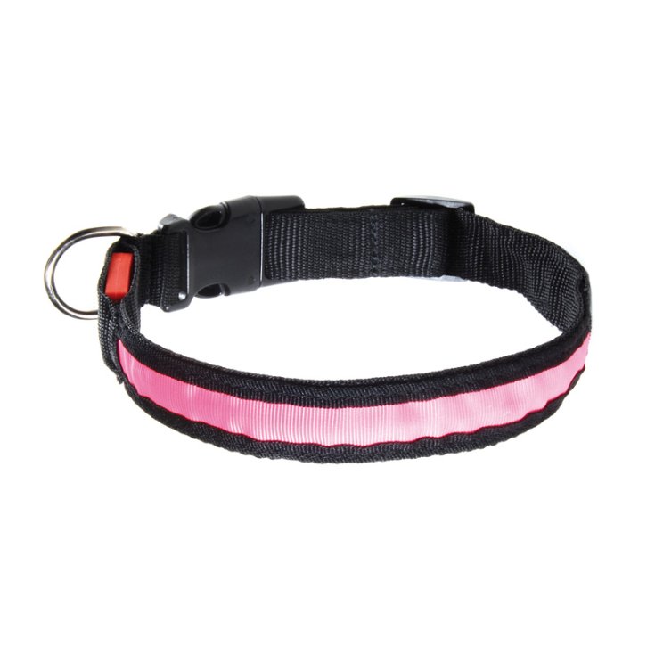 COLLIER LED RECORD S 2X28 38CM
