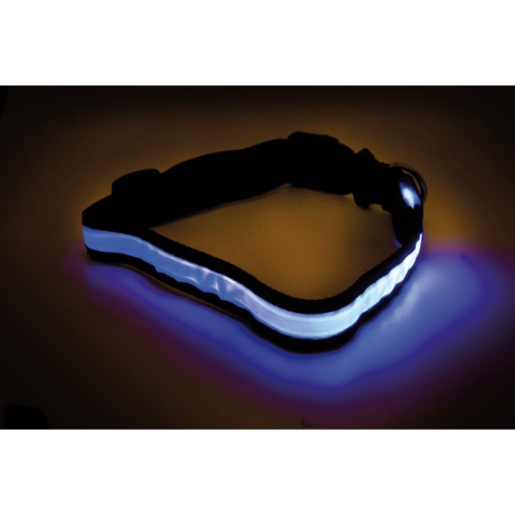 COLLIER LED Record COULEURS ASSORTIES L 2,