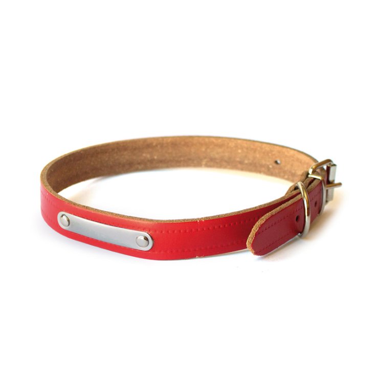 COLLIER D'ENREGISTREMENT AVEC PLAQUE ROUGE 4X65