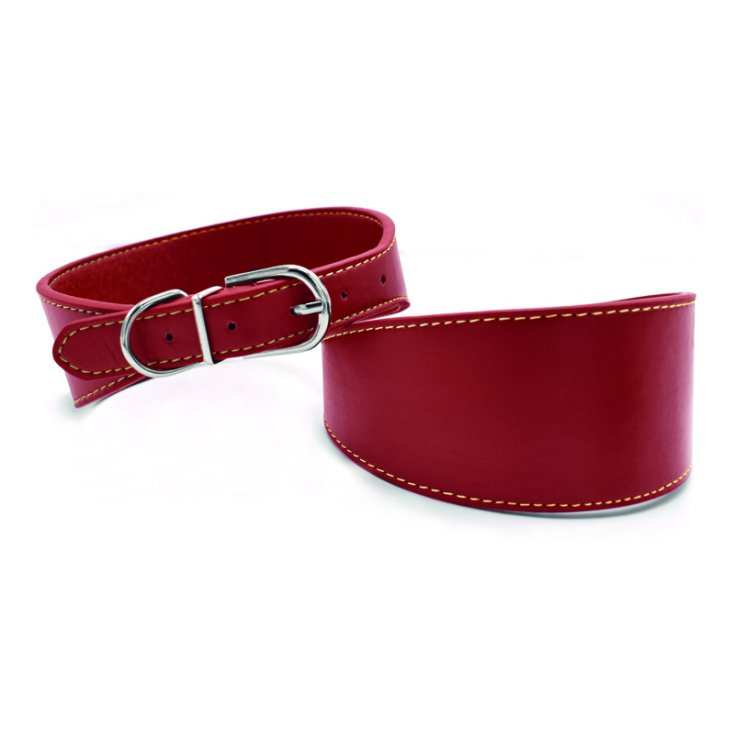 COLLIER EN CUIR ÉCOLOGIQUE RECORD SOLID ROUGE SOLIDE