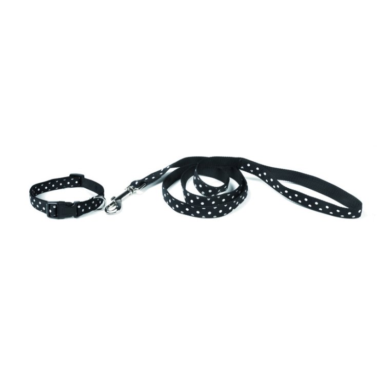 LAISSE ET COLLIER POUR CHIEN RECORD POIS/GA