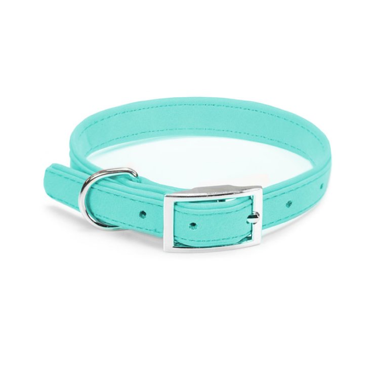 COLLIER POUR CHIEN RECORD CUIRETTE AQUAMARI
