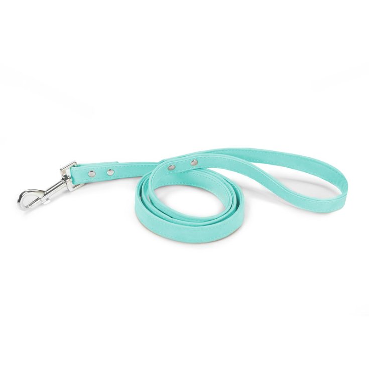 LAISSE POUR CHIEN RECORD CUIRETTE AQUAM