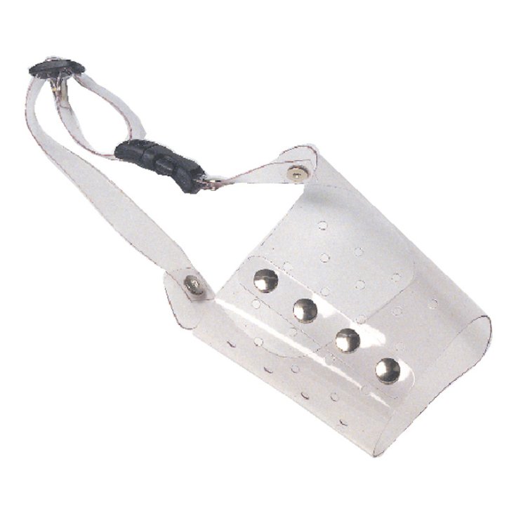 FICHE DE MUSEAUTES TRANSPARENTES N.3