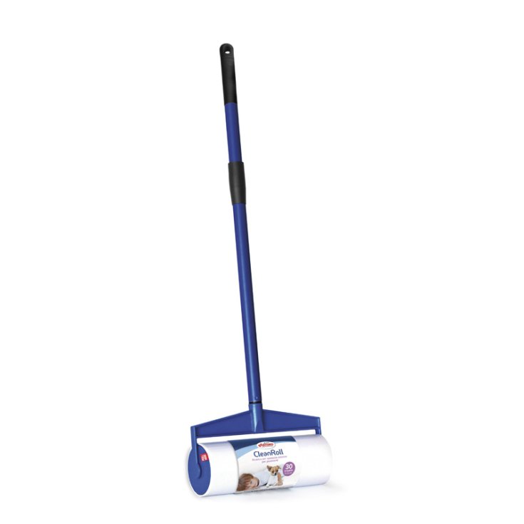 BROSSE À SOL ADHÉSIVE RECORD, 30 STR