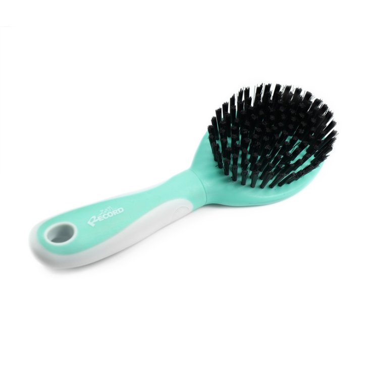 BROSSE DOUCE RECORD HAIRMONY AVEC ENSEMBLE