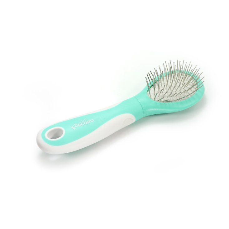 BROSSE PNEUMATIQUE RECORD HAIRMONY S/M