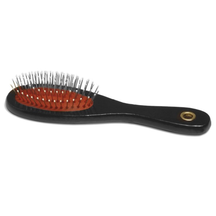 BROSSE D'ENREGISTREMENT AVEC POINTES M 21X6 CM 40 G