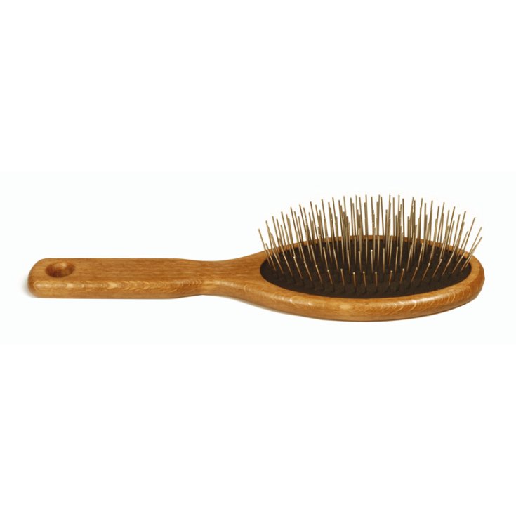 BROSSE À DOSSIER POINTES EN ACIER L 21X6 CM