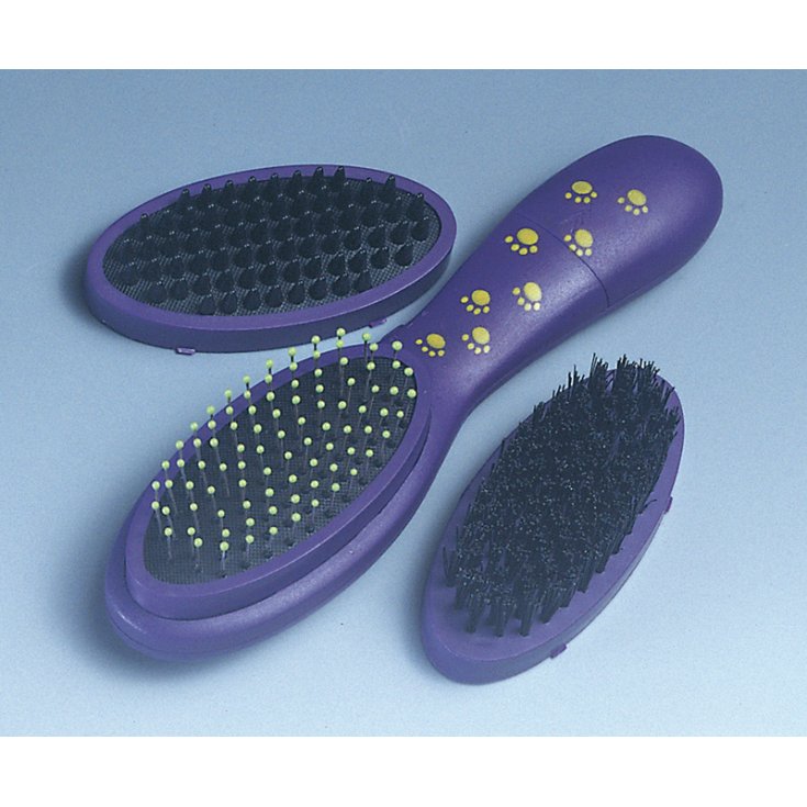 BROSSE VIBRANTE RECORD SET