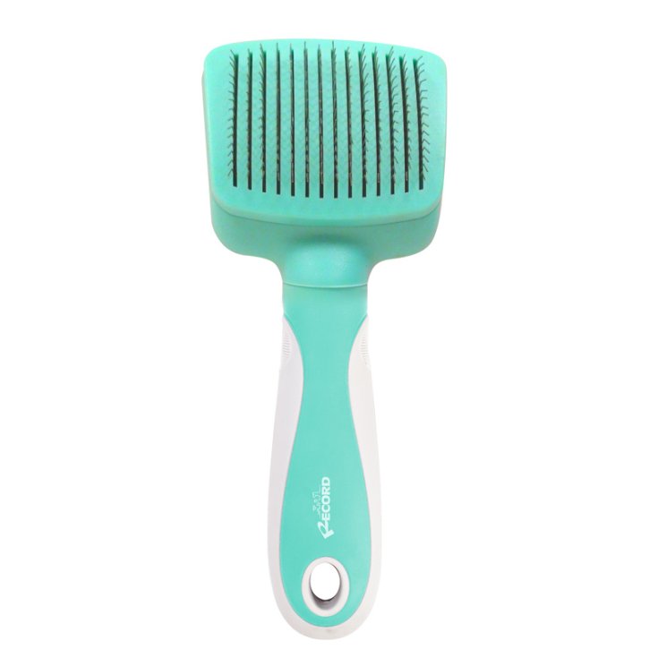RECORD HAIRMONY CARDER AUTO-NETTOYANT S