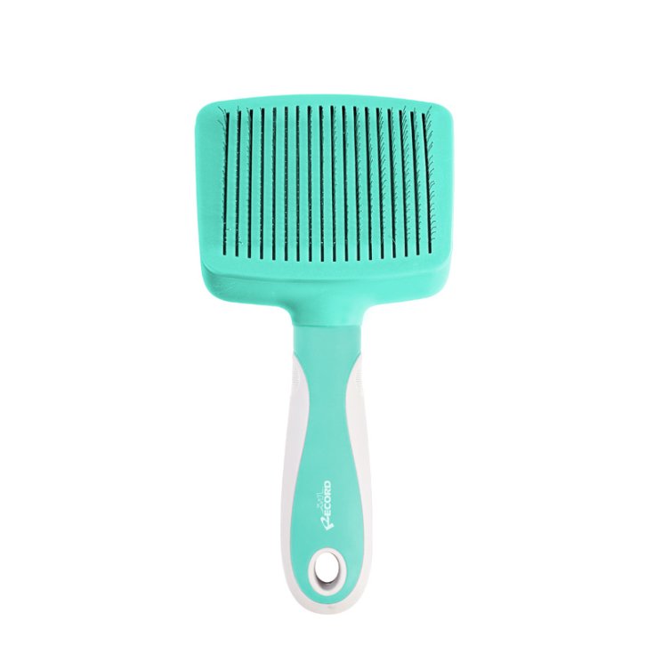 RECORD HAIRMONY CARDER AUTO-NETTOYANT M