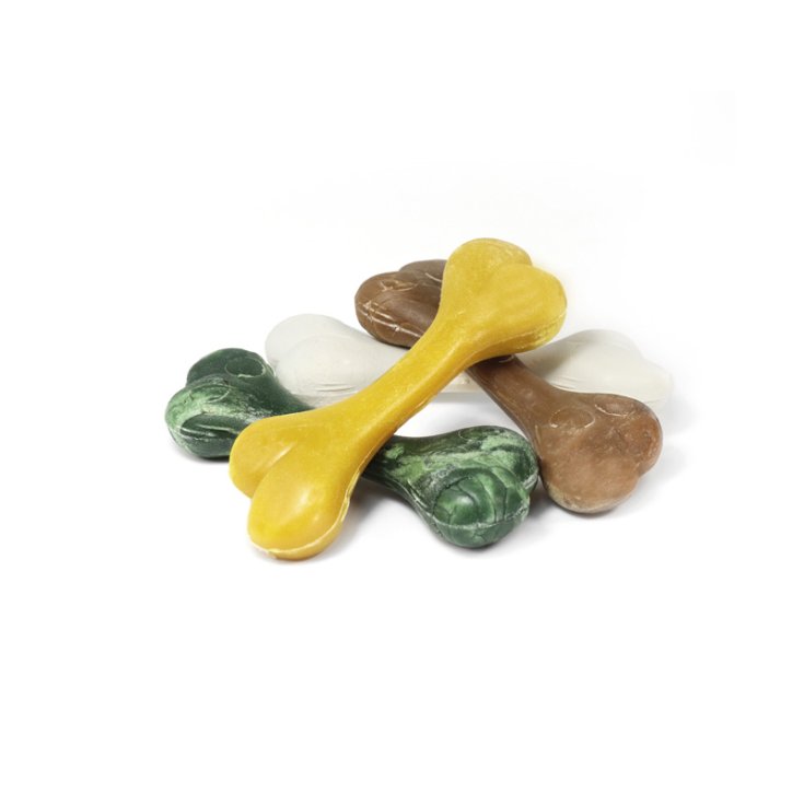 DISQUE WEGETAL 70 PCS BONE IN DISPLAY S 1