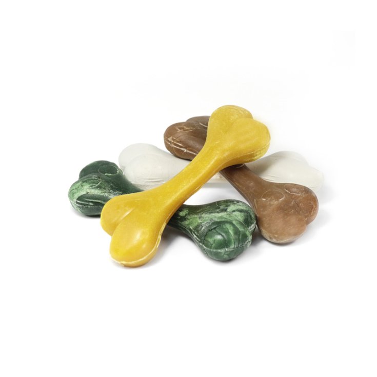 DISQUE WEGETAL 35 PCS BONE IN DISPLAY M 1