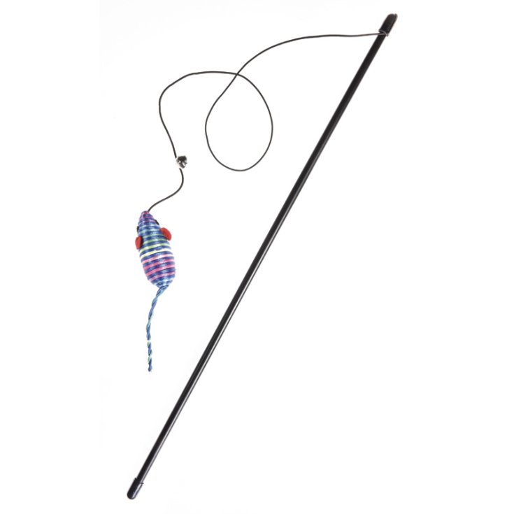 ENREGISTREMENT STUZZICAGATTO CANNETTA AVEC SOURIS