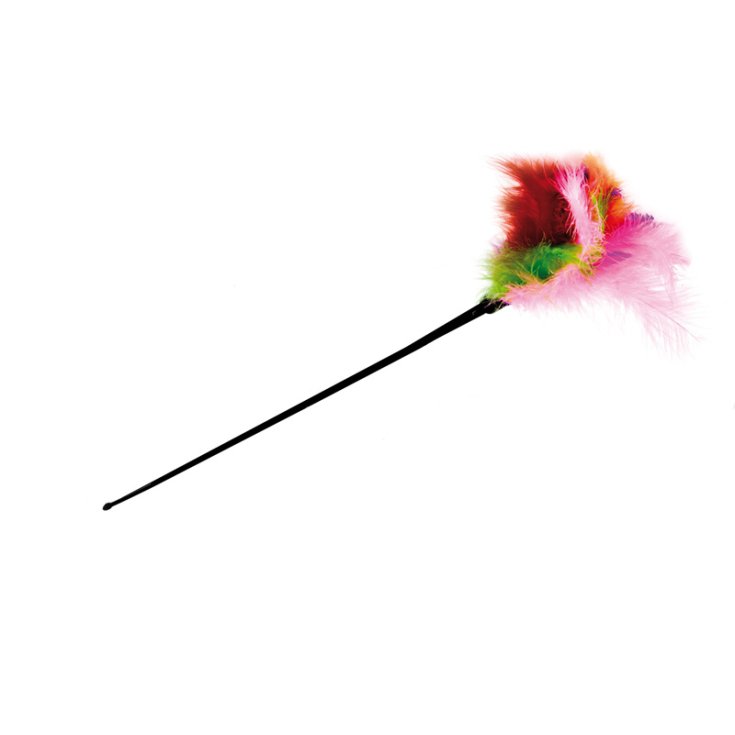 DENTAIRE D'ENREGISTREMENT CHAT DE PLUMES MULTICOLORE