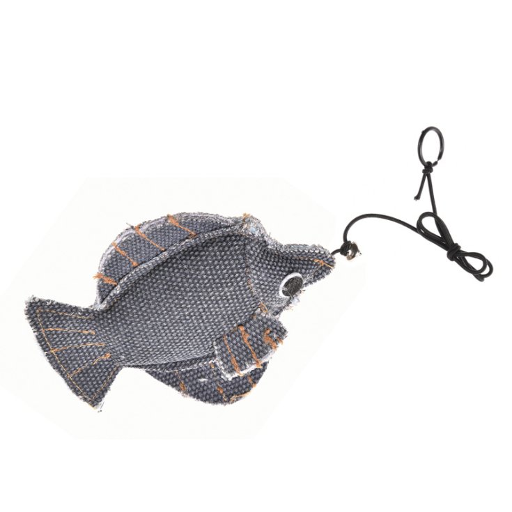 ENREGISTRER LE POISSON STUZZICAGATTO SUR TOILE