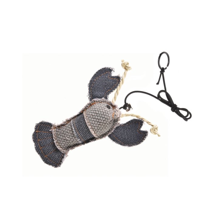 CAT&RINA STUZZICACAT HOMARD EN TOILE