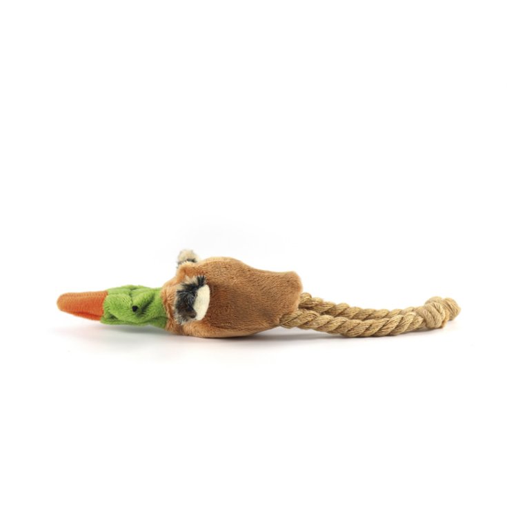 RECORD DE GIBIER À CANARD AVEC CATNIP MULTICOLORE