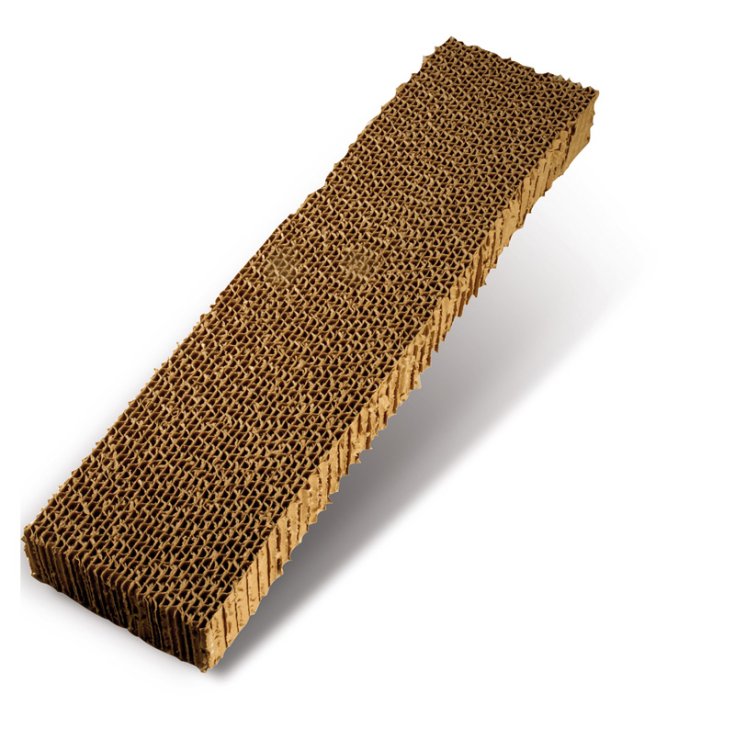 ENREGISTRER SCRATCH CARTON Griffoir MAR