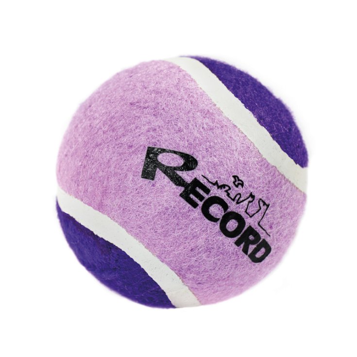 BALLE DE TENNIS VIOLET RECORD TENNIS FUN