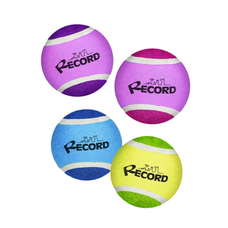 RECORD TENNIS FUN 4 BALLES DE TENNIS VIOLENTES