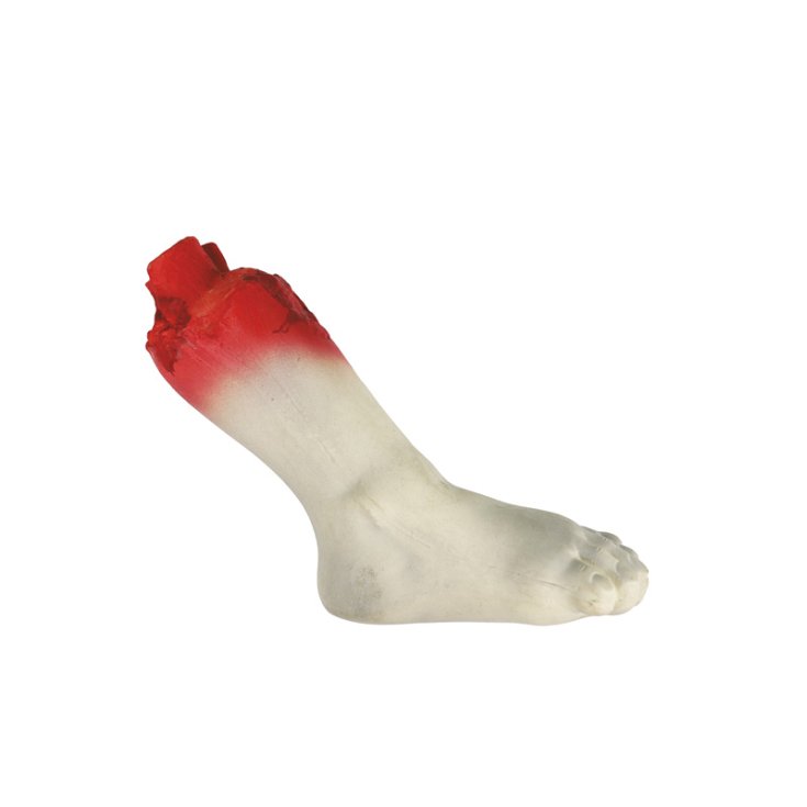 JEU D'HORREUR RECORD EN LATEX LEG SPE